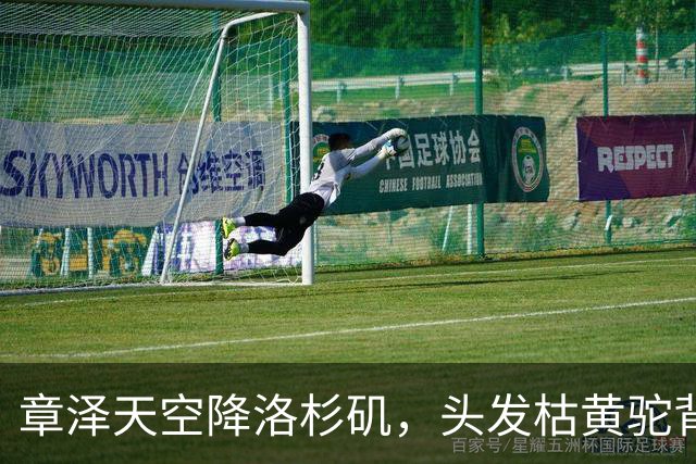 章泽天空降洛杉矶，头发枯黄驼背身材六四分，网友：毫无气质好土